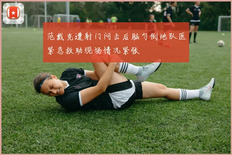 范戴克遭射门闷击后脑勺倒地队医紧急救助现场情况紧张